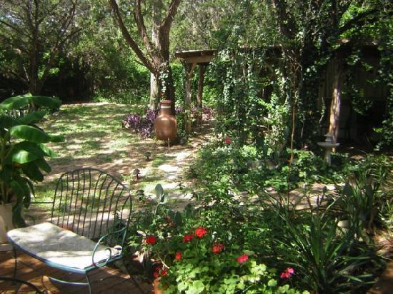 Casa Del Sol Bed And Breakfast Lakeway Δωμάτιο φωτογραφία