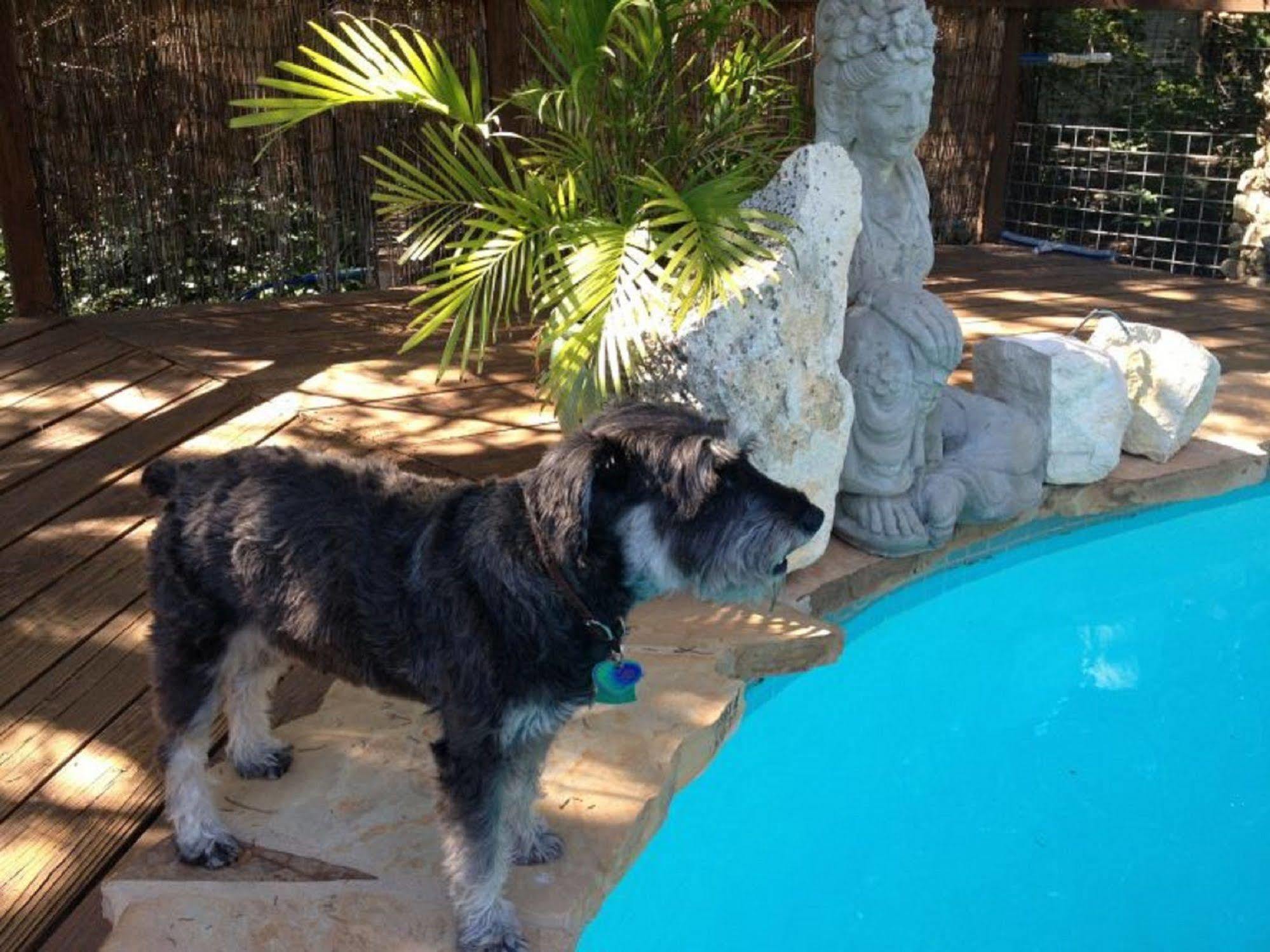 Casa Del Sol Bed And Breakfast Lakeway Εξωτερικό φωτογραφία